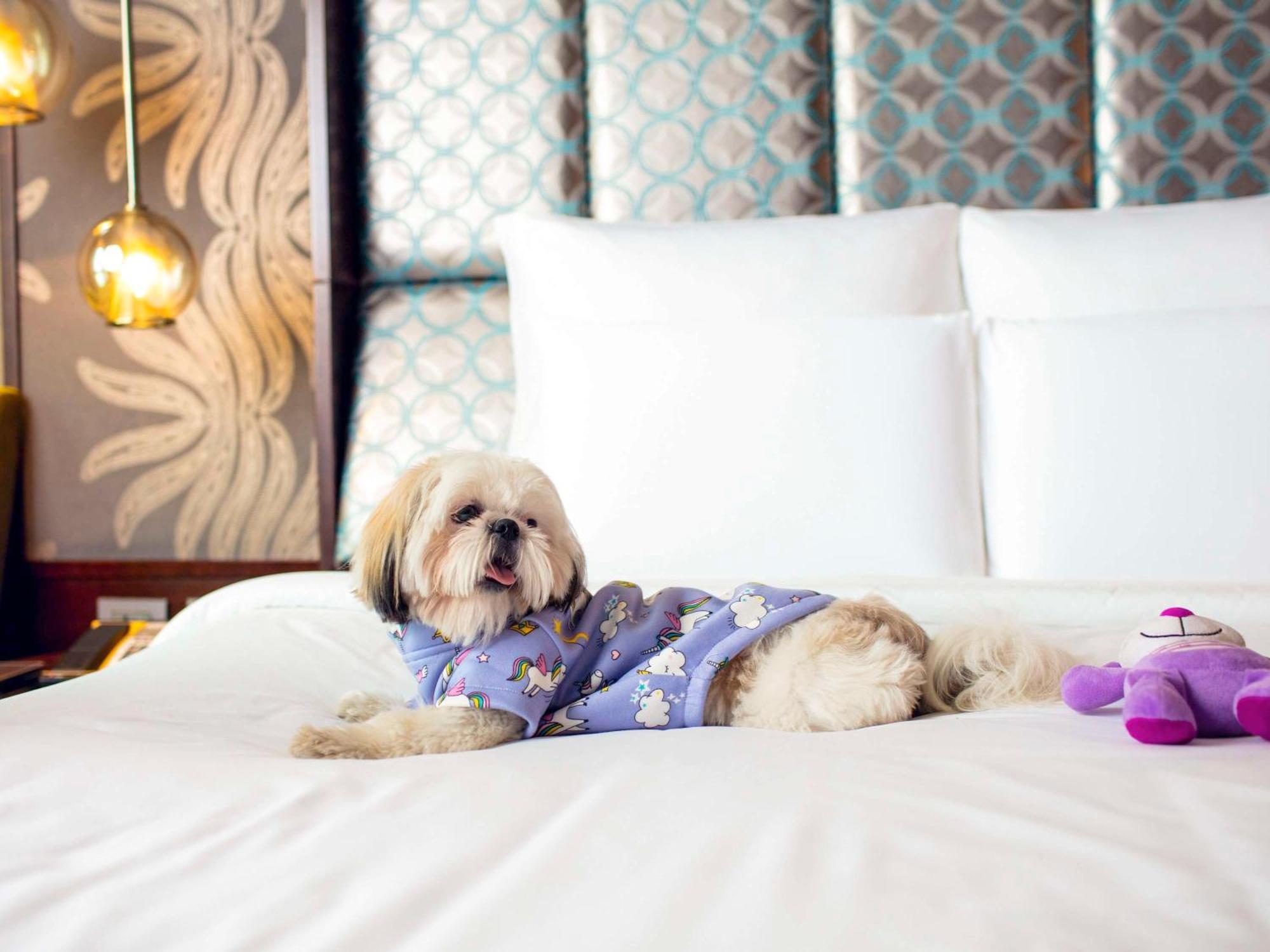 Pullman New Delhi Aerocity Экстерьер фото A dog at the Four Seasons Hotel