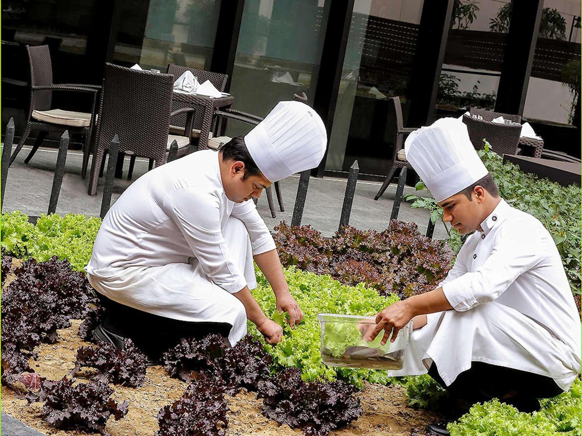 Pullman New Delhi Aerocity Экстерьер фото Students working in the school's garden